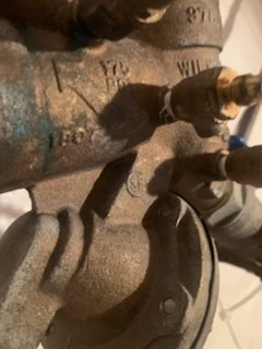 Stamped Wilkins markings showing pressure and temperature rating on a bronze backflow assembly