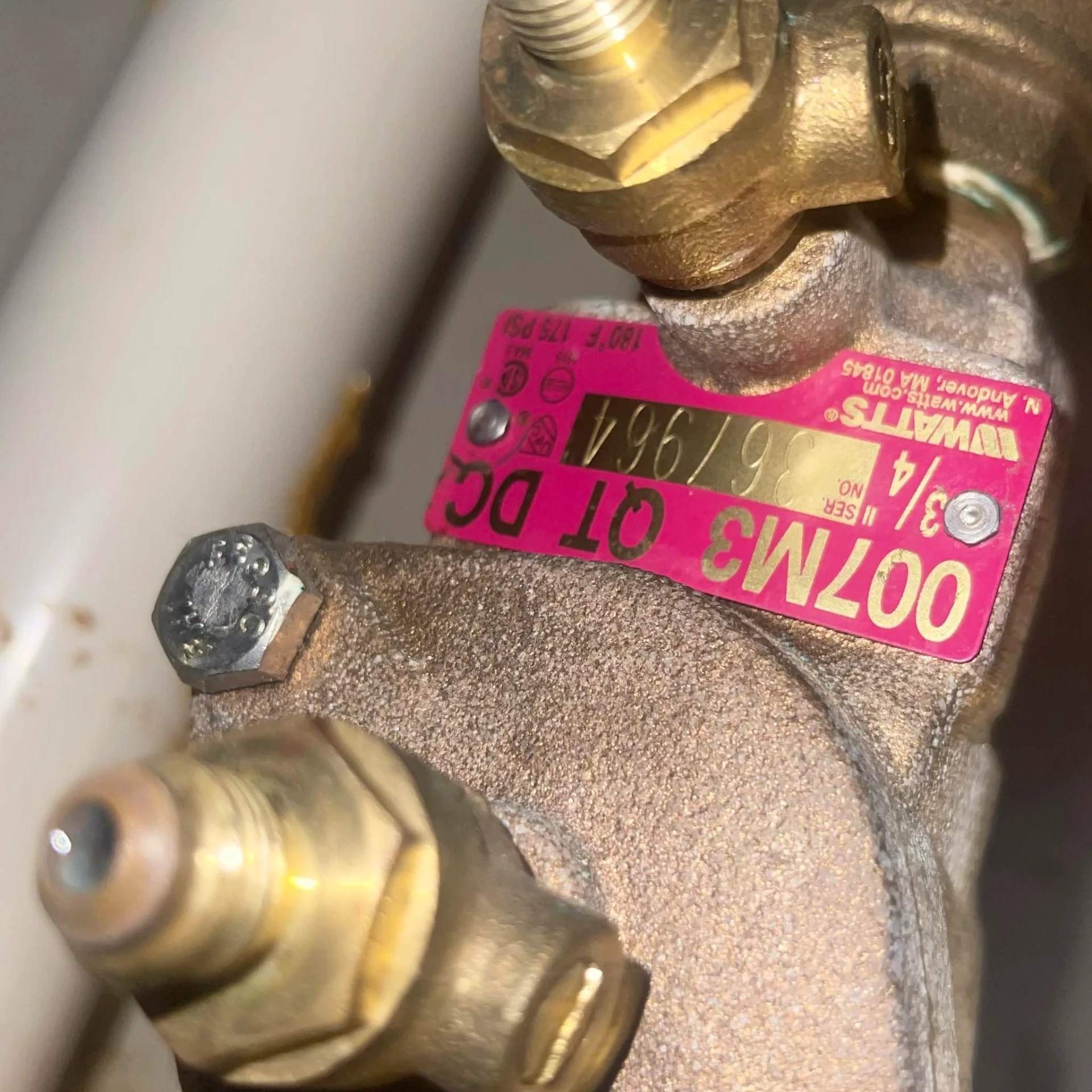 Watts 007M3 QT double check backflow preventer with a pink identification tag on a residential water line in Rochester New York