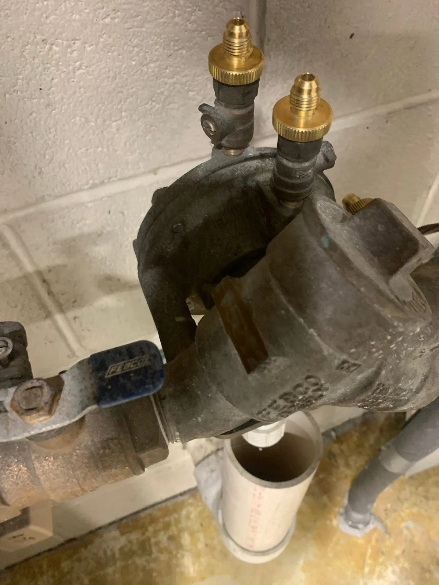 Febco backflow preventer mounted on a basement wall with brass test cock fittings installed