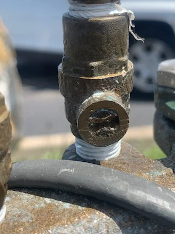Brass relief port on an outdoor backflow assembly showing debris buildup at the opening
